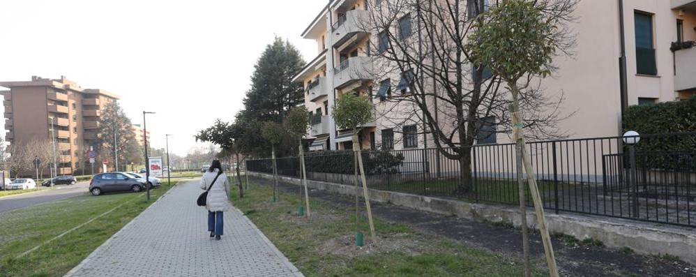 Monza, allarme furti nel quartiere Cristo Re