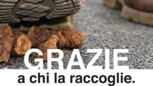 Monza, un particolare della campagna rivolta ai proprietari di cani