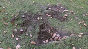 ISEREGNO - Il grosso buco creato in giardino dalla pesante cassaforte lanciata dal terzo piano (Foto Volonterio)