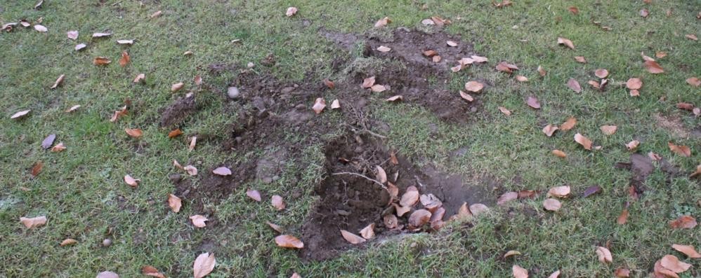 ISEREGNO - Il grosso buco creato in giardino dalla pesante cassaforte lanciata dal terzo piano (Foto Volonterio)