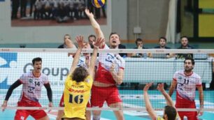 Volley, Gi group Monza contro Modena nell’andata di Coppa Italia