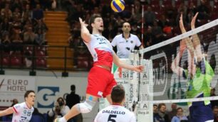 Volley, Gi Group Monza: Verhees