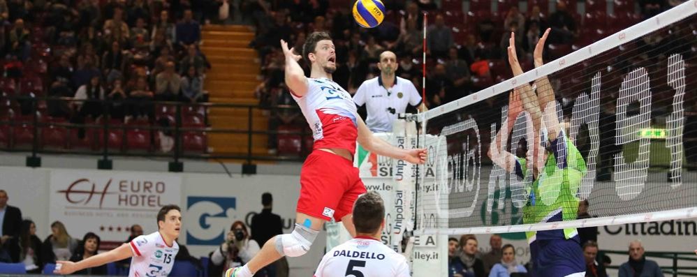 Volley, Gi Group Monza: Verhees