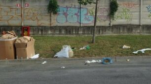 Arcore, una foto d’archivio di rifiuti abbandonati in via Grandi