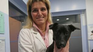 Monza, la veterinaria Francesca Bianco e un suo paziente