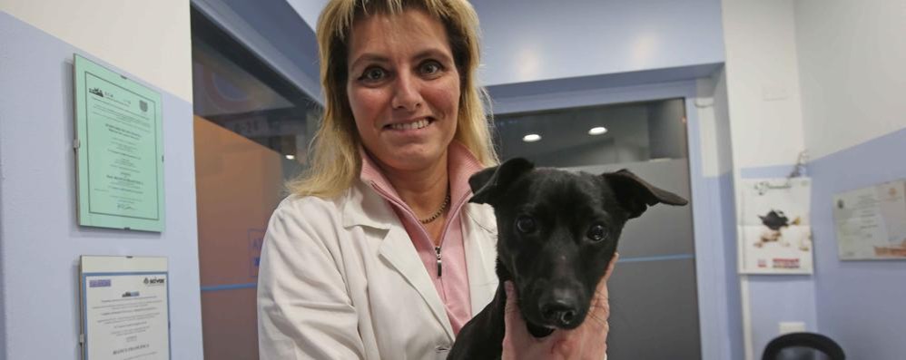 Monza, la veterinaria Francesca Bianco e un suo paziente