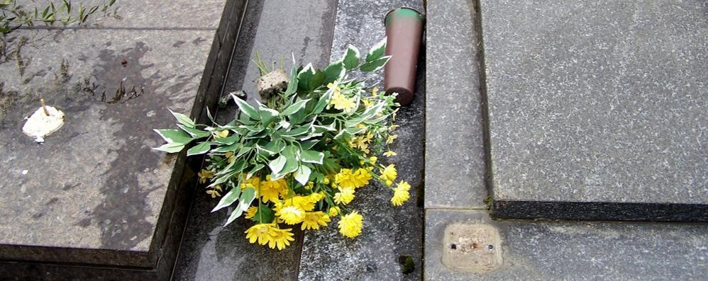 Furto e danni al cimitero di Seregno