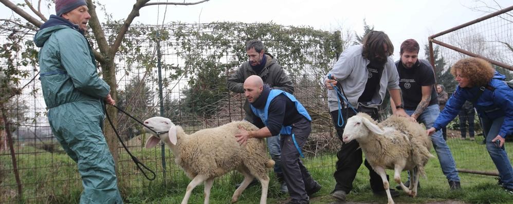 Monza: sgombero e demolizioni in  via san Damiano, requisita dal comune