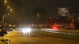 Viale Elvezia a Monza