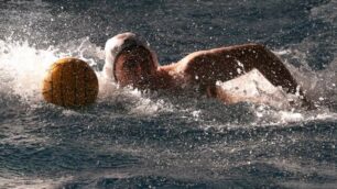 Pallanuoto, il Nuoto Club Monza è in serie B