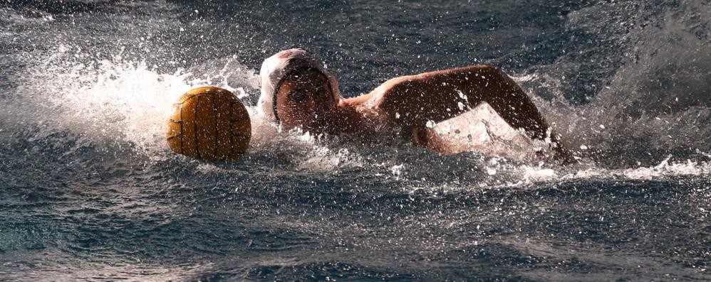 Pallanuoto, il Nuoto Club Monza è in serie B