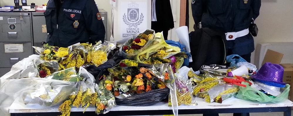 Le mimose sequestrate dalla polizia locale di Monza l’8 marzo