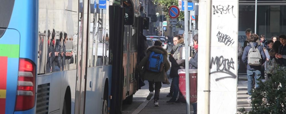 Monza Autobus urbano linea Net