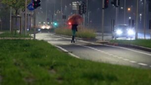 La zona di viale Lombardia: qui scorrazzano le volpi