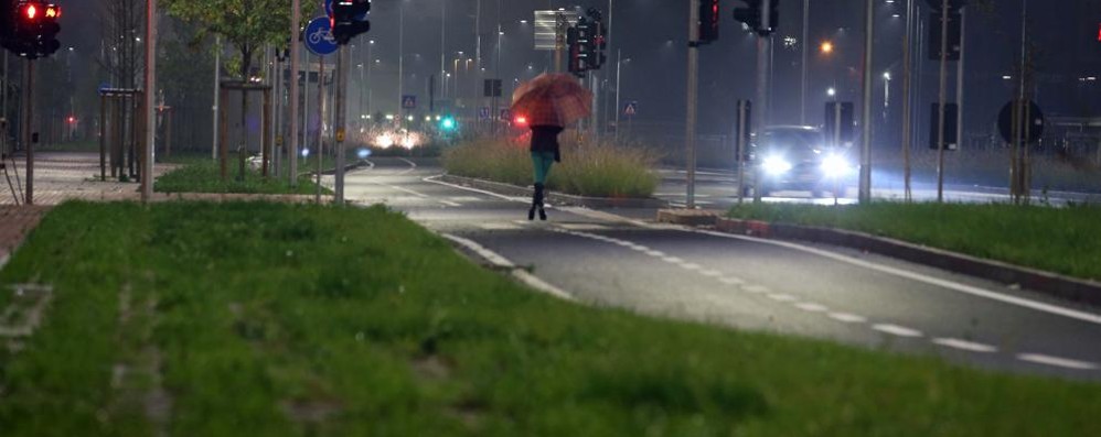 La zona di viale Lombardia: qui scorrazzano le volpi