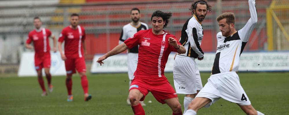 Calcio, il Monza ospita la Bustese