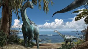 Ecco Tito, il primo sauropode italiano