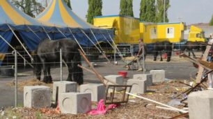 Monza, il circo nell’area di viale Fermi-Stucchi