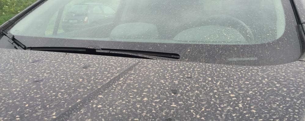Meteo: la sabbia piovuta sulle auto negli ultimi giorni