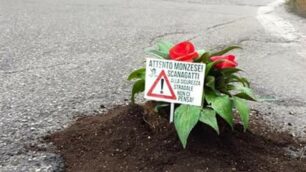 Le buche piantumate dai Giovani padani a Monza