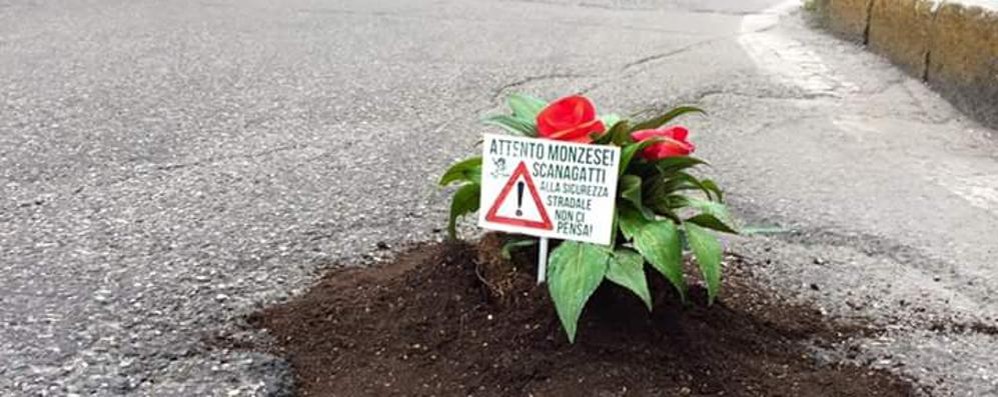 Le buche piantumate dai Giovani padani a Monza