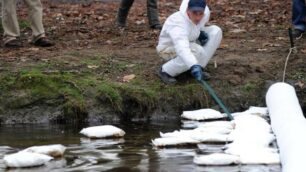 Il petrolio nel Lambro dopo lo sversamento della Lombarda petroli