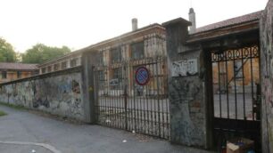 Monza, la sede della scuola civica Paolo Borsa dopo il taglio del glicine secolare