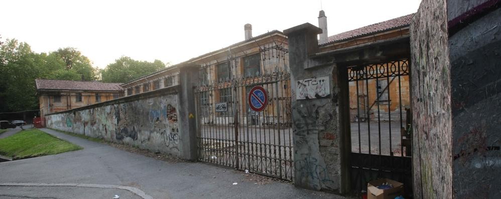 Monza, la sede della scuola civica Paolo Borsa dopo il taglio del glicine secolare