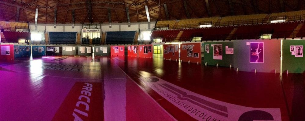 Monza, l’allestimento della mostra “100 anni di  donne olimpiche” con le foto di Vito Liverani - foto Vero Volley