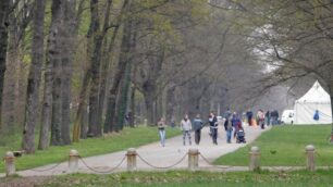 Una viale del parco in zona Mirabello