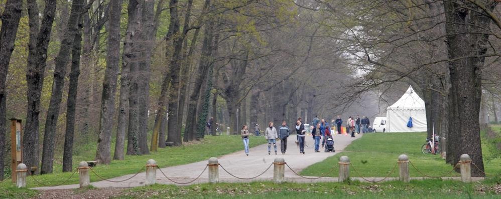 Una viale del parco in zona Mirabello