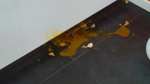 I danni nella yogurteria dopo il lancio di uova