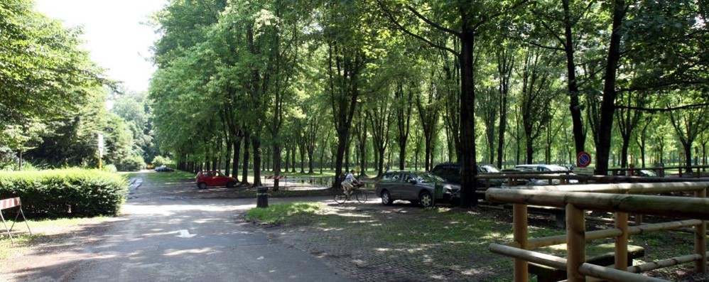 Monza, il parcheggo nel parco non è considerato sicuro