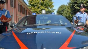 I carabinieri in poche ore hanno risolto il caso