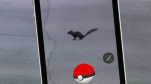 Una schermata di Pokémon Go in autodormo