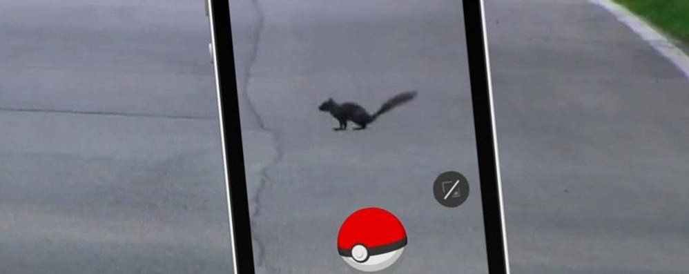 Una schermata di Pokémon Go in autodormo