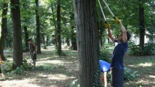 I ragazzi dell'Azione cattolica al lavoro nel parco