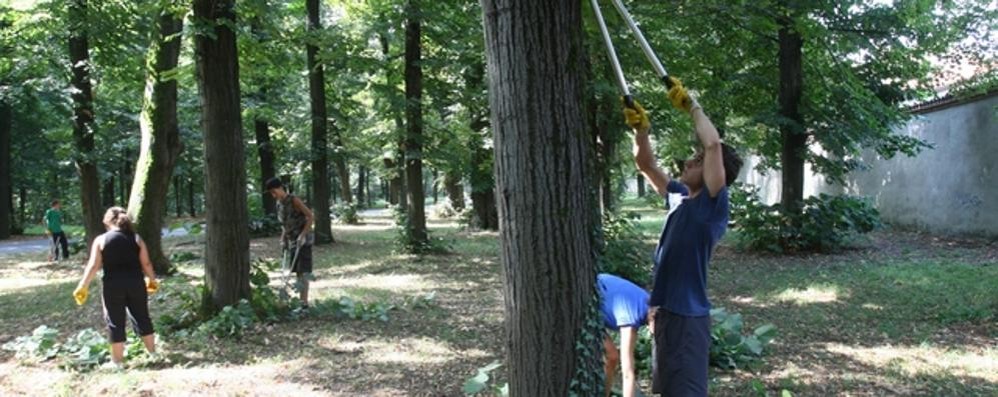 I ragazzi dell'Azione cattolica al lavoro nel parco