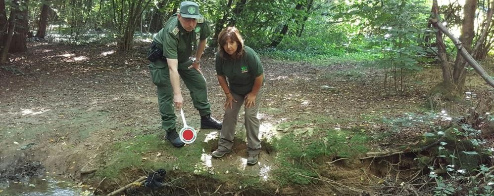 Le guardie ecologiche sul luogo del ritrovamento