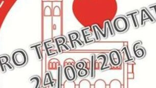 L’adesivo dedicato dal gruppo facebook ’Sei di Monza se’ alla raccolta fondi per i terremotati del 24 agosto