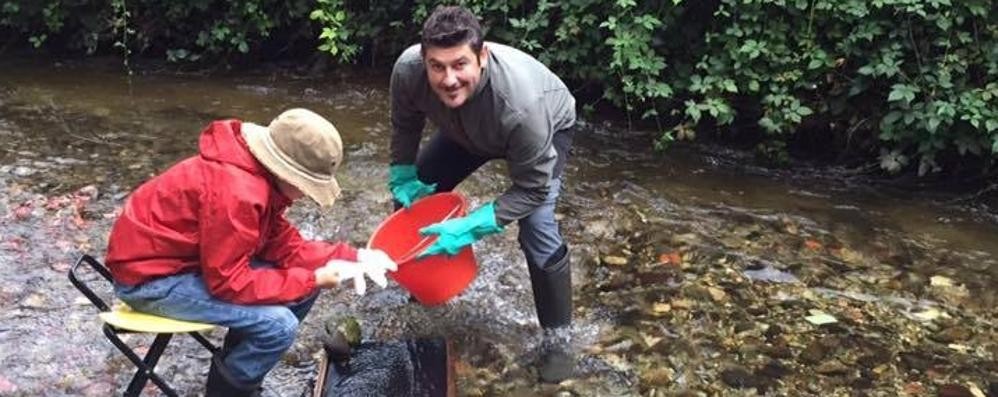 I cercatori d’oro nel torrente Seveso