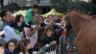 L’edizione 2015 di “Fattorie in festa”