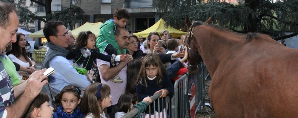 L’edizione 2015 di “Fattorie in festa”