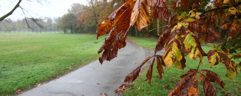 L’autunno prosegue, ma il weekend è senza pioggia