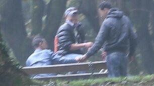Monza, spaccio boschetti reali