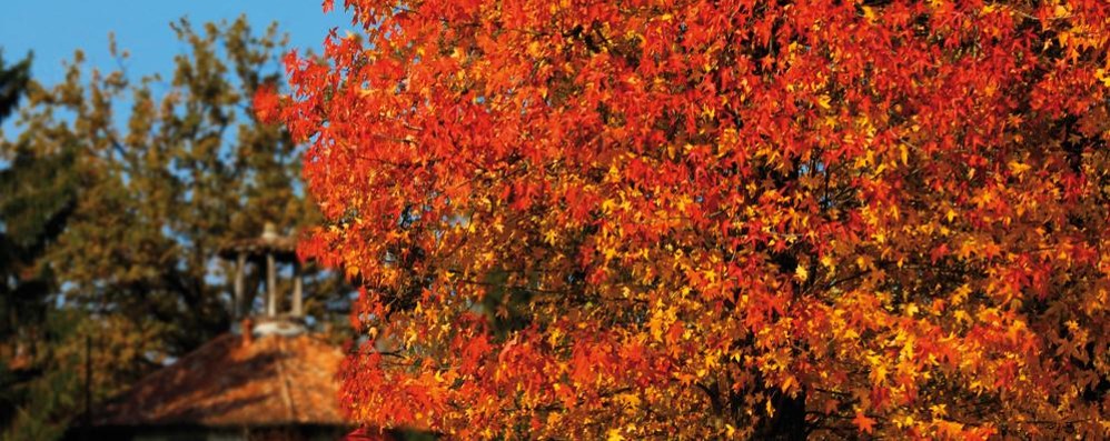 Torna l’ora solare e al parco di Monza scatta l’orario invernale