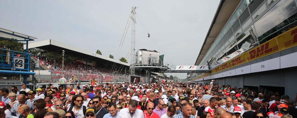 Radaelli Monza Autodromo