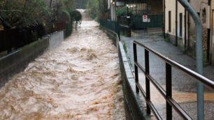 Il rio Brovada, a Triuggio, durante una piena