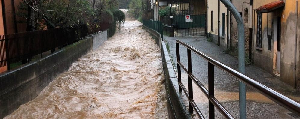 Il rio Brovada, a Triuggio, durante una piena