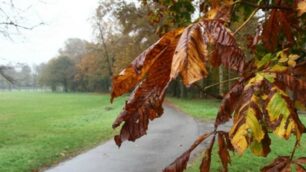 Autunno in Brianza